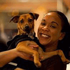 lovie the super rescue dog